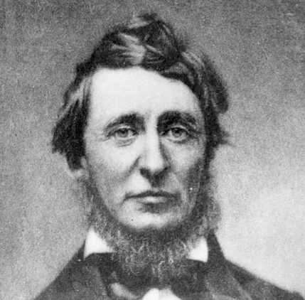 關(guān)于梭羅的名人名言哲理格言警句語錄 - 每日文摘