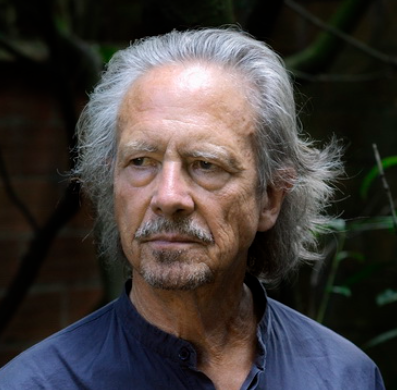 關(guān)于彼得·漢德克的名人名言哲理格言警句語(yǔ)錄 - 每日文摘