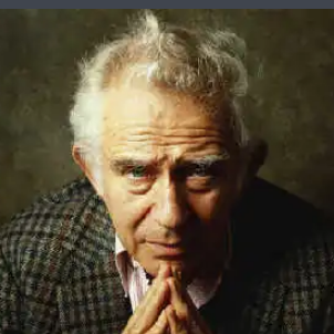 關(guān)于諾曼·梅勒的名人名言哲理格言警句語錄 - 每日文摘