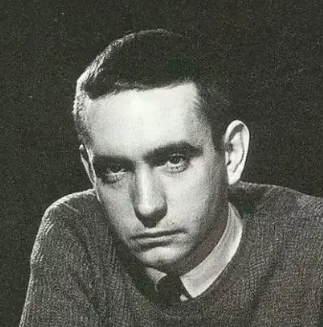 關于愛德華·阿爾比的名人名言哲理格言警句語錄 - 每日文摘