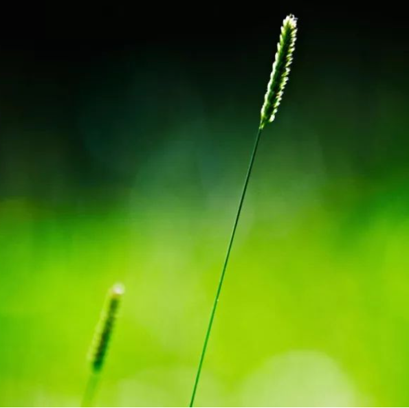 關(guān)于退后的名人名言哲理格言警句語錄 - 每日文摘