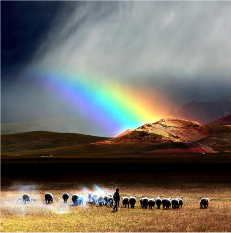 關(guān)于彩虹的名人名言哲理格言警句語錄 - 每日文摘