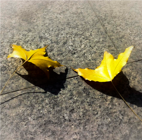 關(guān)于錯(cuò)過(guò)的名人名言哲理格言警句語(yǔ)錄 - 每日文摘